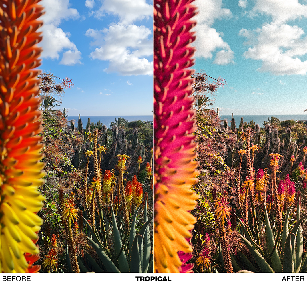 FRESH SPRING preset pack - Image 17