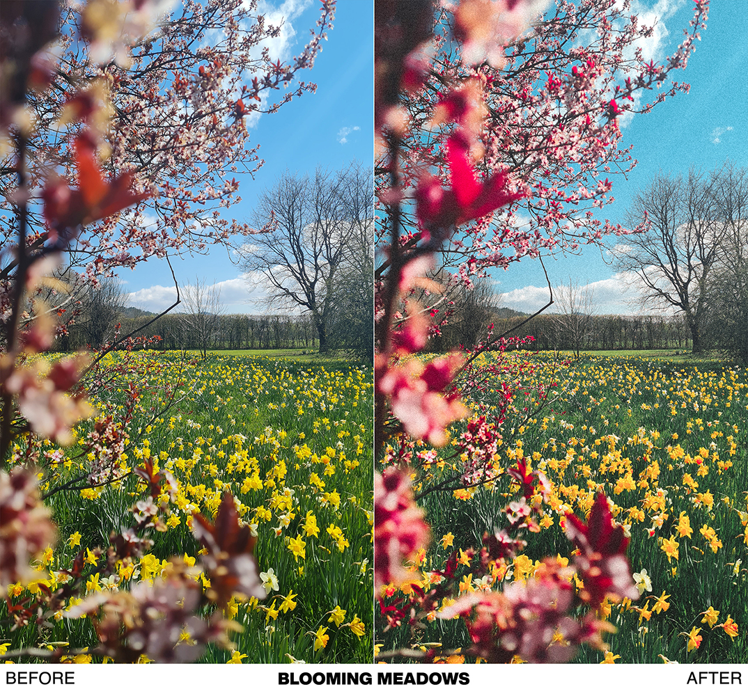 FRESH SPRING preset pack - Image 12