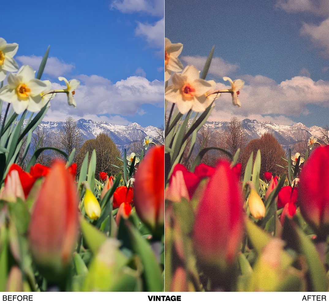 FRESH SPRING preset pack - Image 13