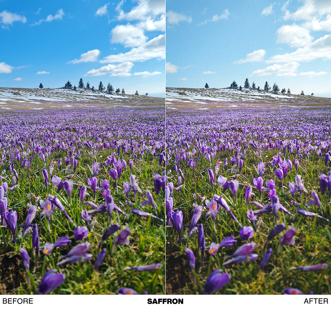 FRESH SPRING preset pack - Image 14