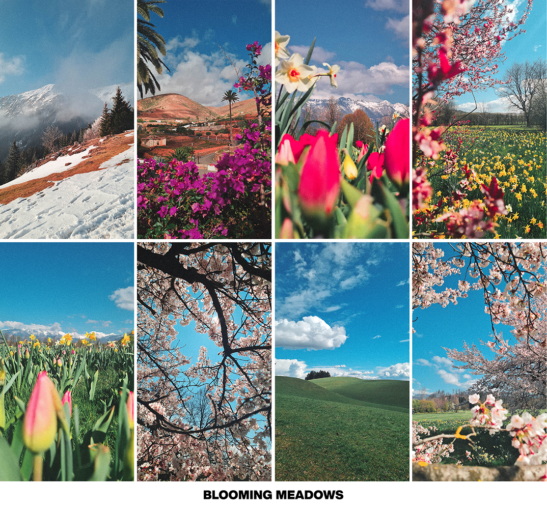 FRESH SPRING preset pack - Image 2