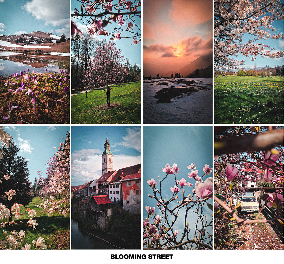 FRESH SPRING preset pack - Image 3