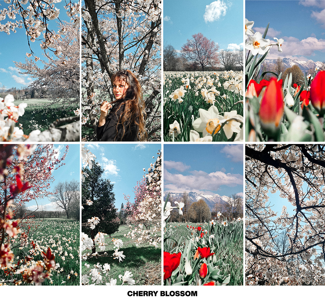 FRESH SPRING preset pack - Image 4
