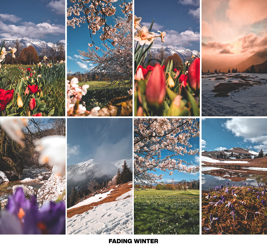 FRESH SPRING preset pack - Image 5