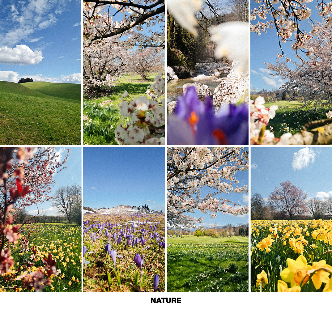 FRESH SPRING preset pack - Image 7
