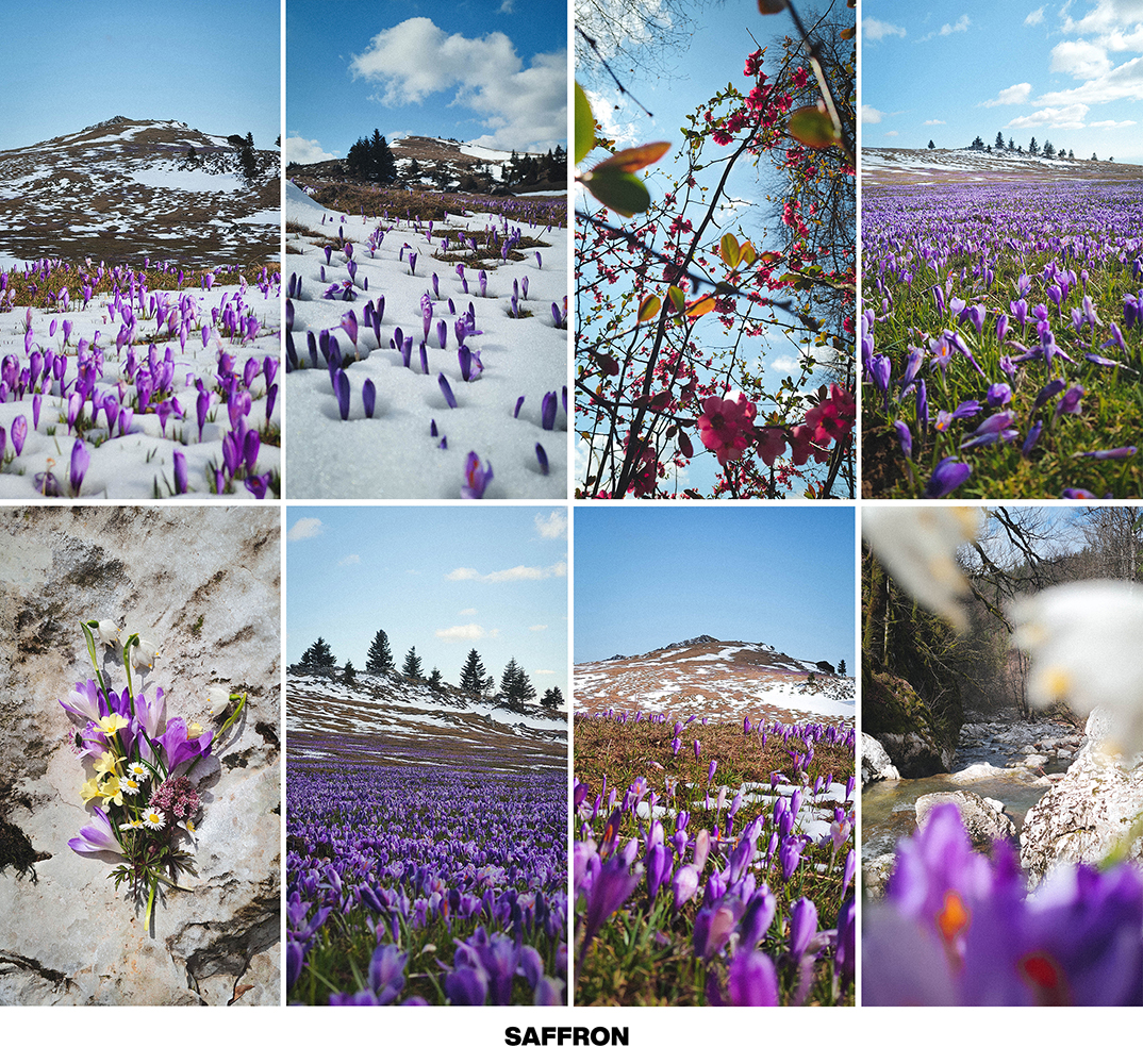 FRESH SPRING preset pack - Image 9