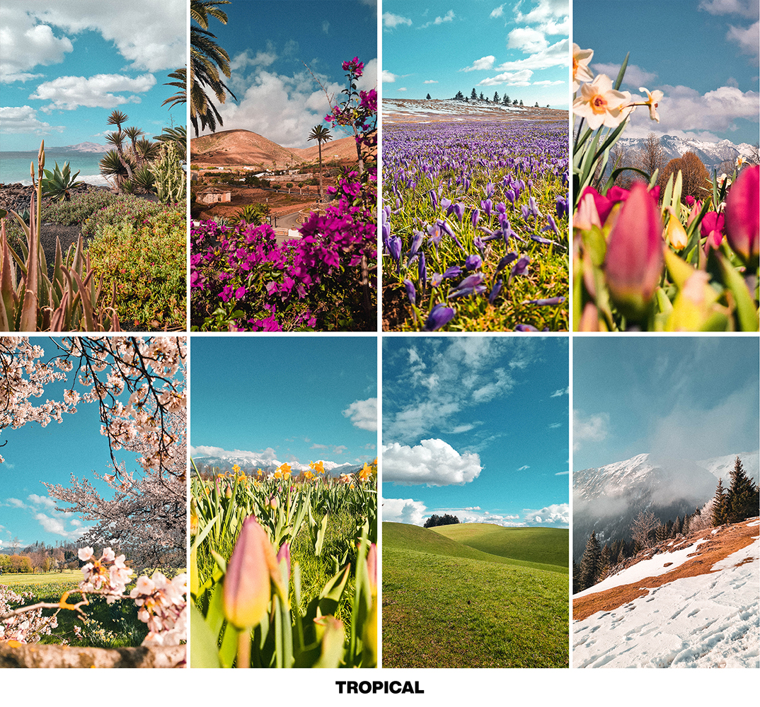 FRESH SPRING preset pack - Image 11