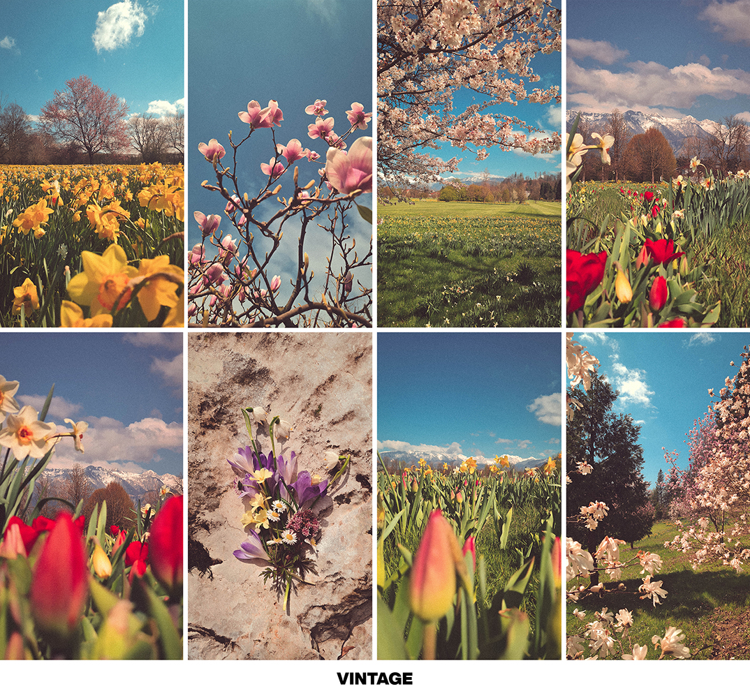 FRESH SPRING preset pack - Image 15