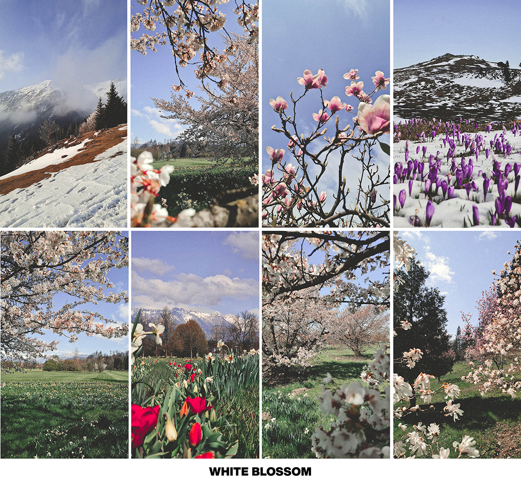 FRESH SPRING preset pack - Image 16