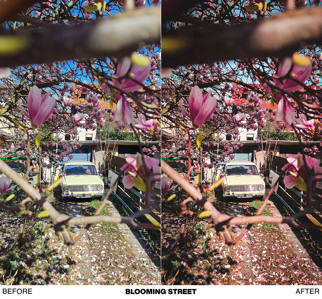 FRESH SPRING preset pack - Image 21