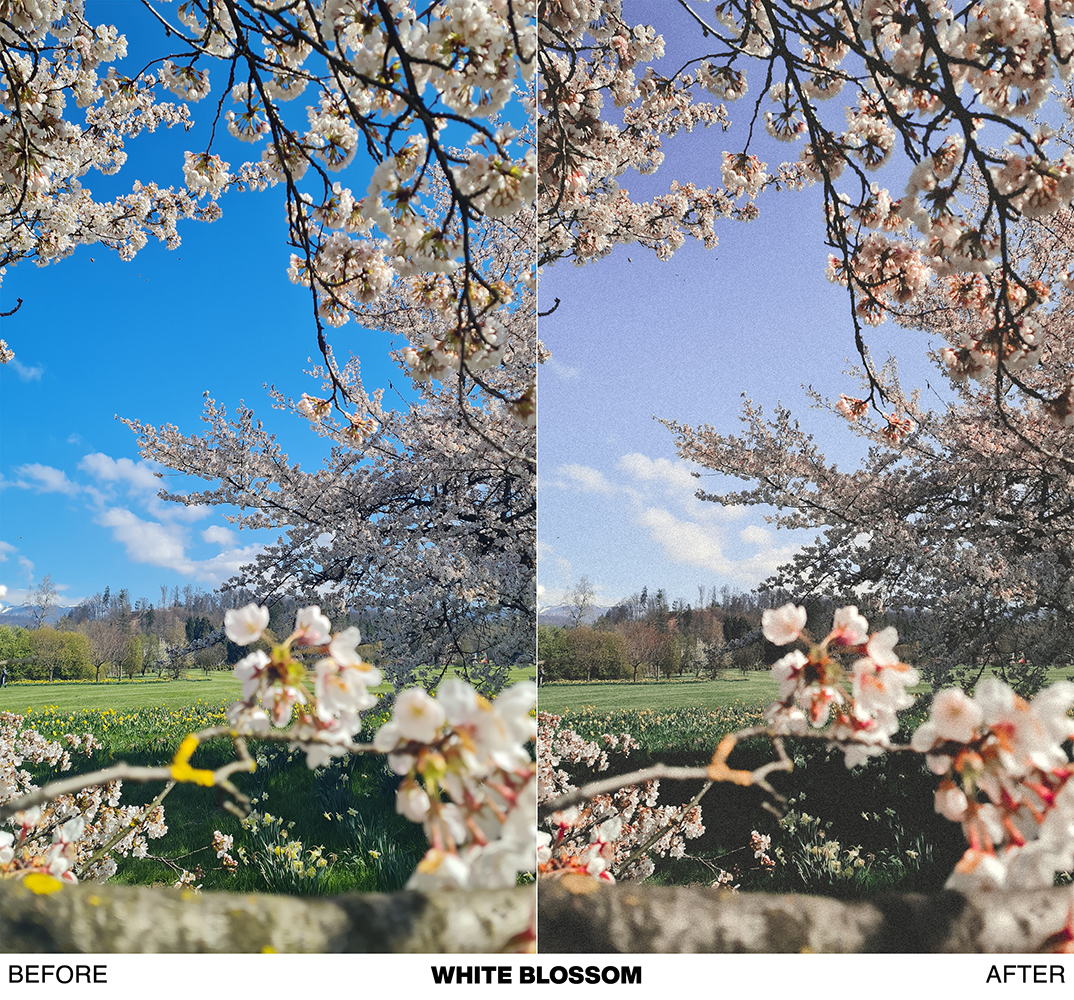 FRESH SPRING preset pack - Image 23