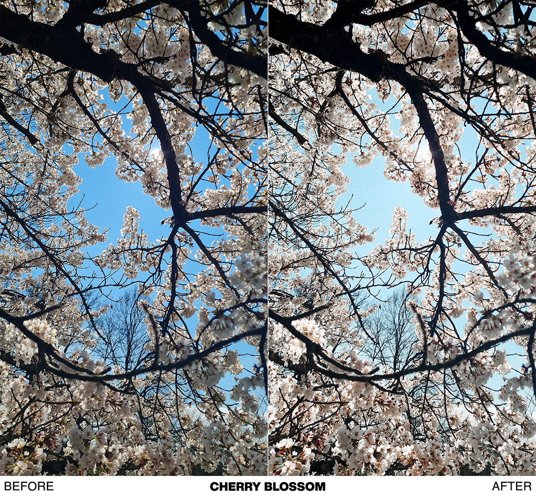 FRESH SPRING preset pack - Image 25