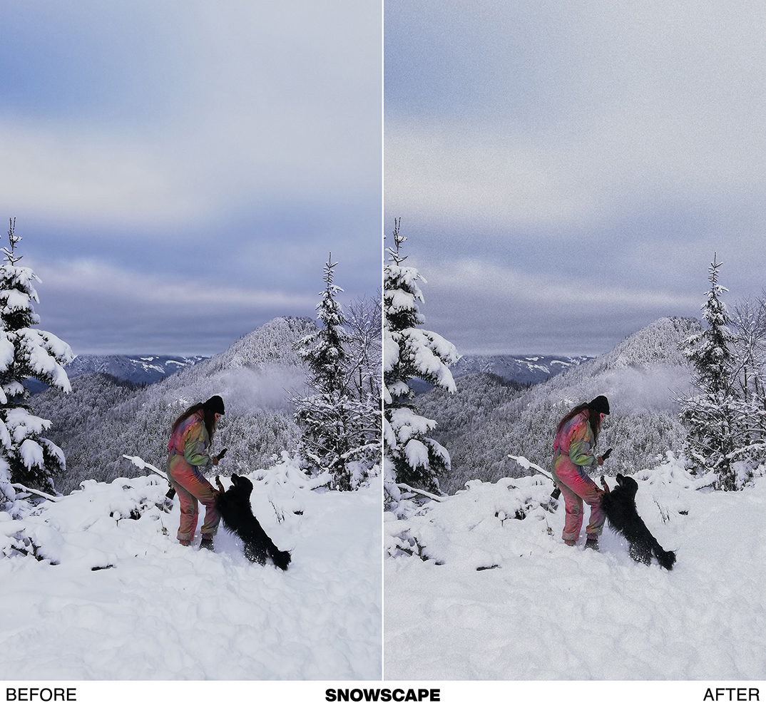 WINTER-TALE preset pack - Image 7